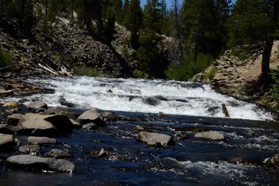 DSC_9920 (Large).JPG